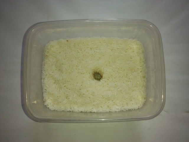 【手工美食】孝感米酒步骤11