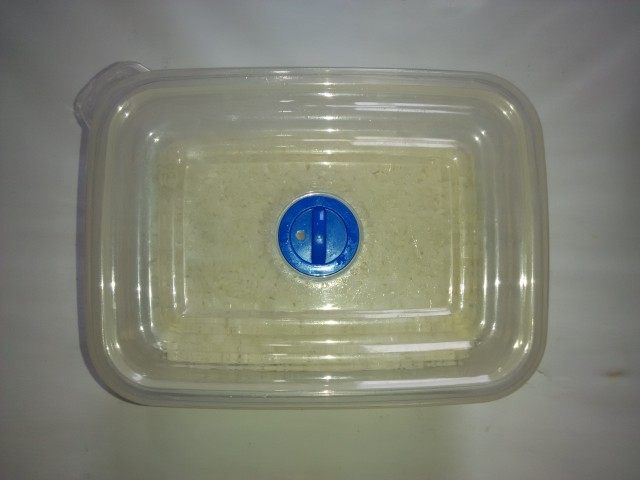 【手工美食】孝感米酒步骤12