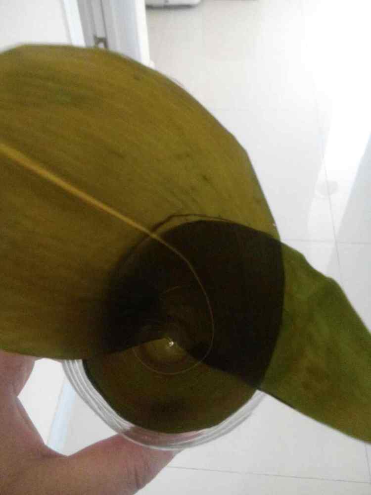 红枣甜粽步骤7