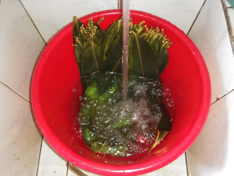 【手工美食】葱姜糯米步骤9