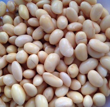 小米燕麦豆浆步骤3