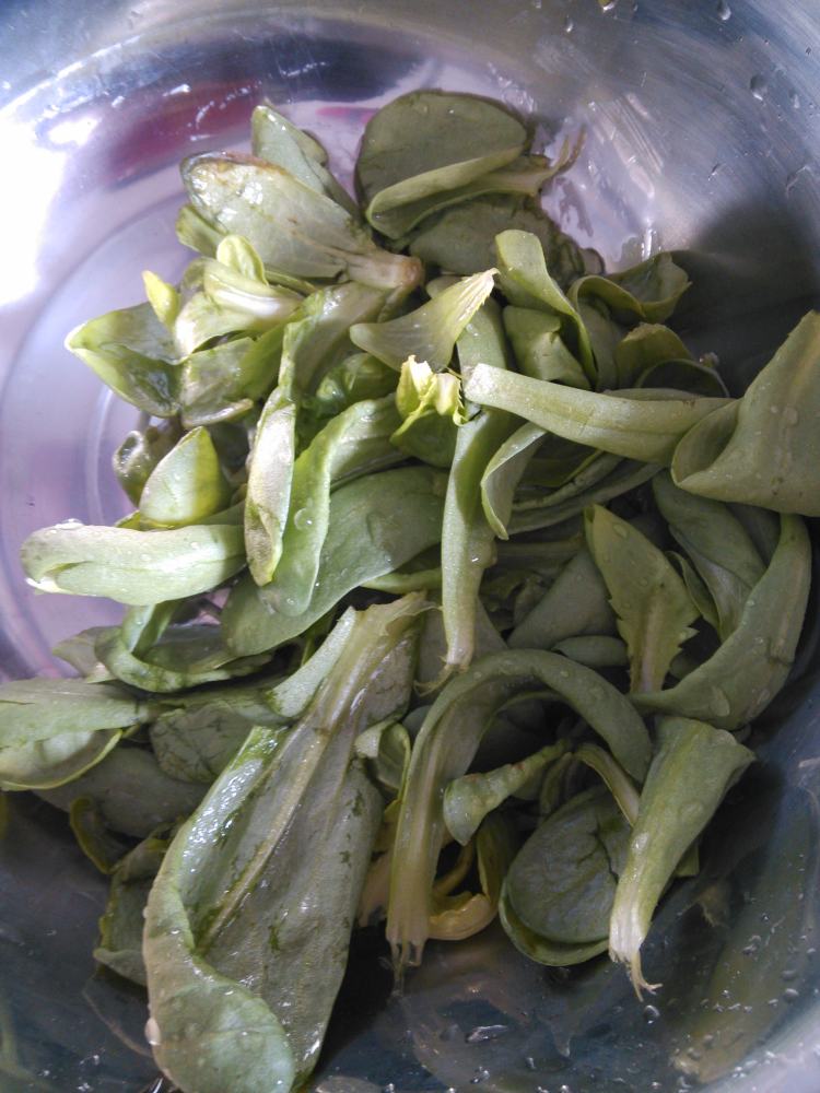米露虾滑步骤12