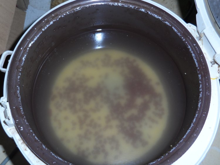 红豆小米粥步骤3