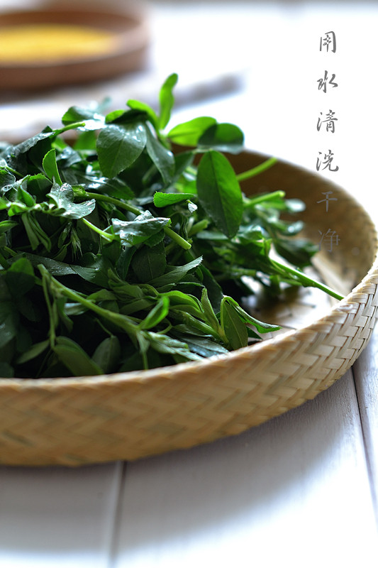 苜蓿小米粥步骤3