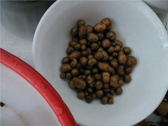 红莲子山药豆粥步骤2