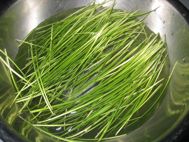 鲜竹叶肉末粥（辅食）步骤1