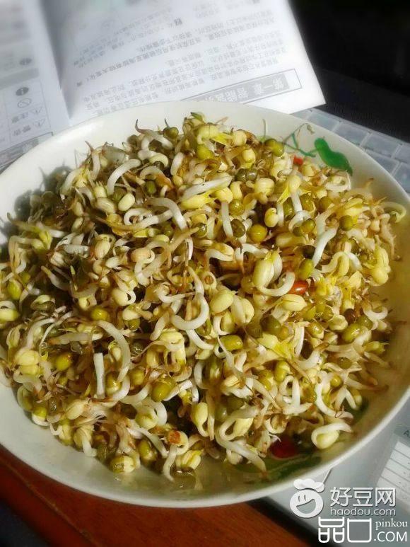 自发绿豆芽