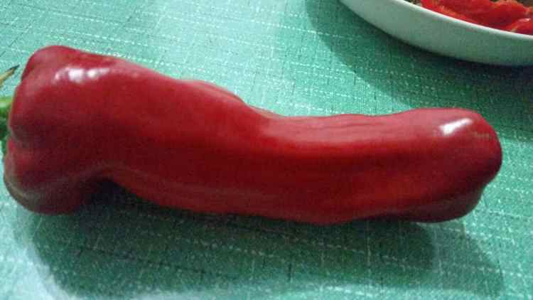 韭菜鸡蛋炒面步骤3