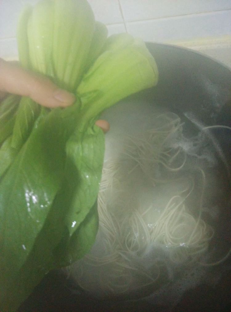 青菜面条步骤3