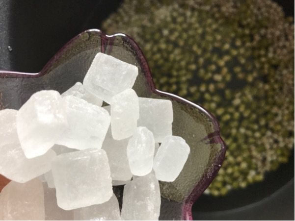 绿豆薏米冻步骤2