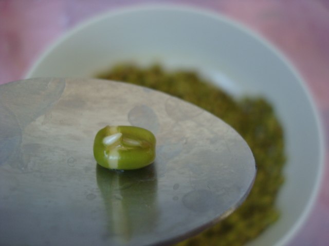凉拌自发绿豆芽步骤2