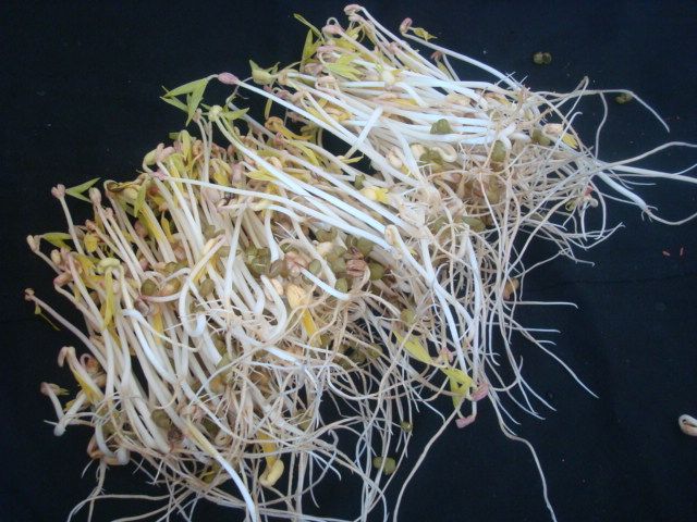 凉拌自发绿豆芽步骤8