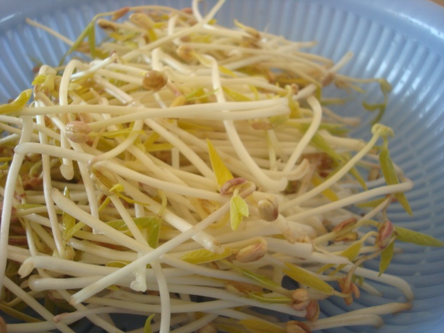 凉拌自发绿豆芽步骤10