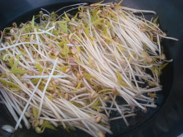 凉拌自发绿豆芽步骤11