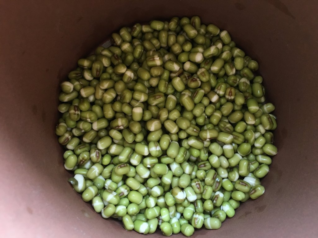 自发健康绿豆芽步骤5