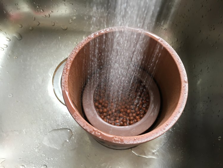 自发健康绿豆芽步骤9