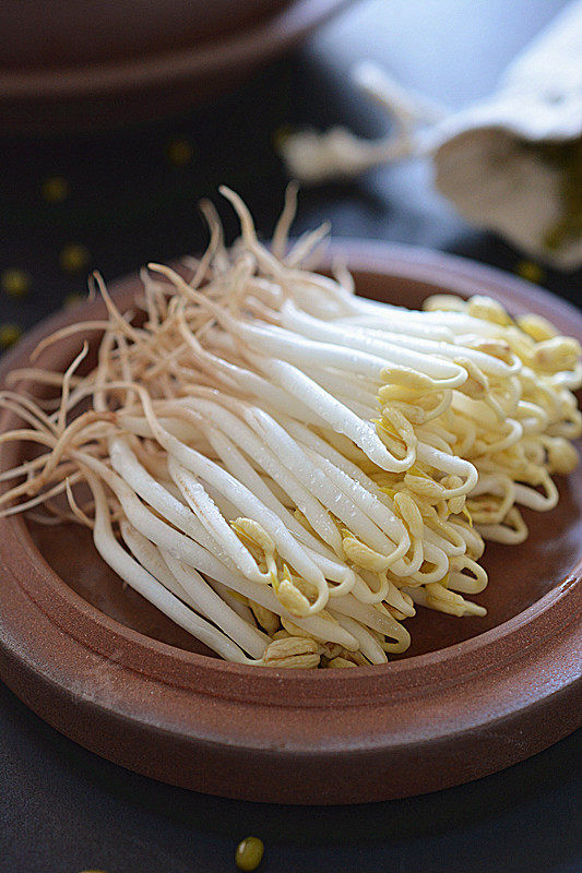 自发健康绿豆芽步骤13