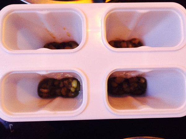绿豆棒冰步骤12