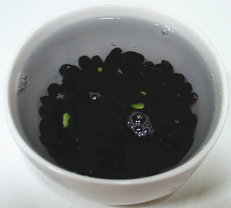 黑红绿三豆豆浆步骤2