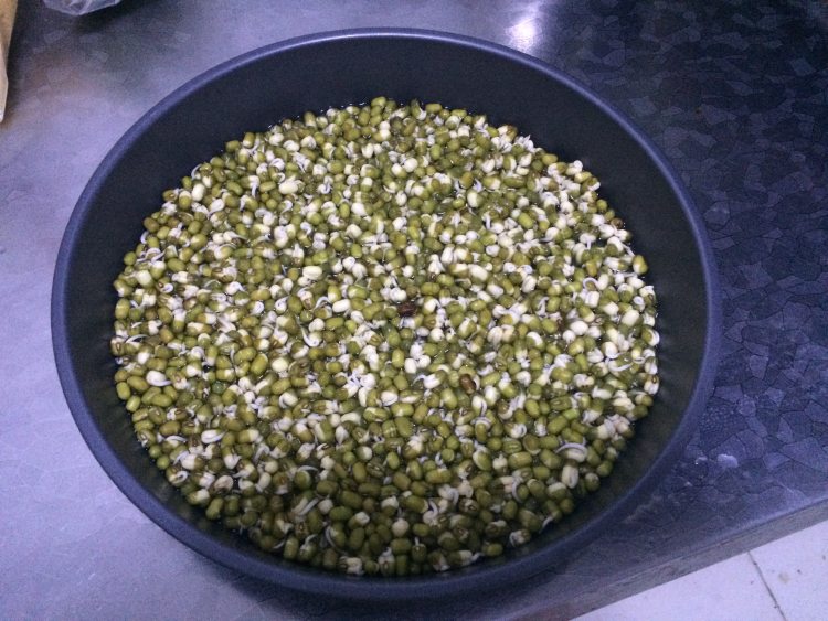 醋溜豆芽步骤1