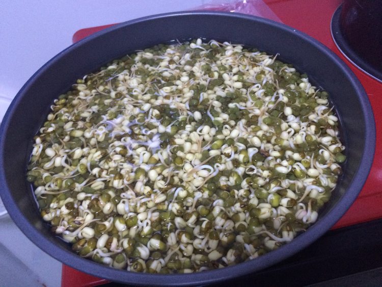醋溜豆芽步骤2