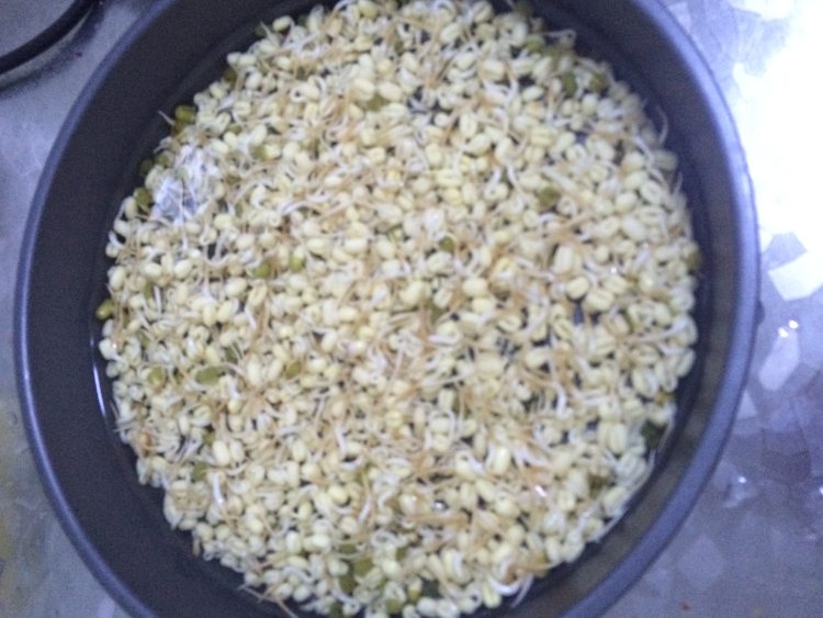 醋溜豆芽步骤4
