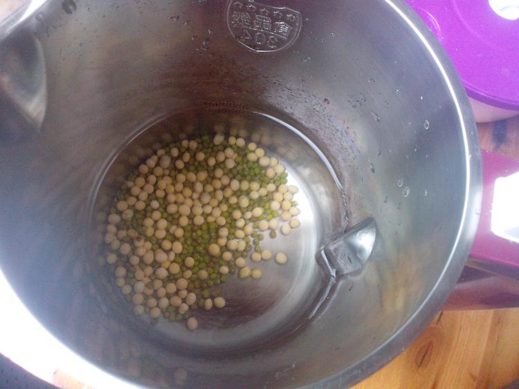 黄绿双豆浆步骤3