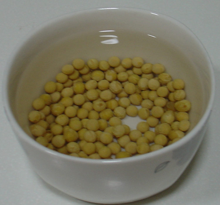 枸杞大枣双豆豆浆步骤2