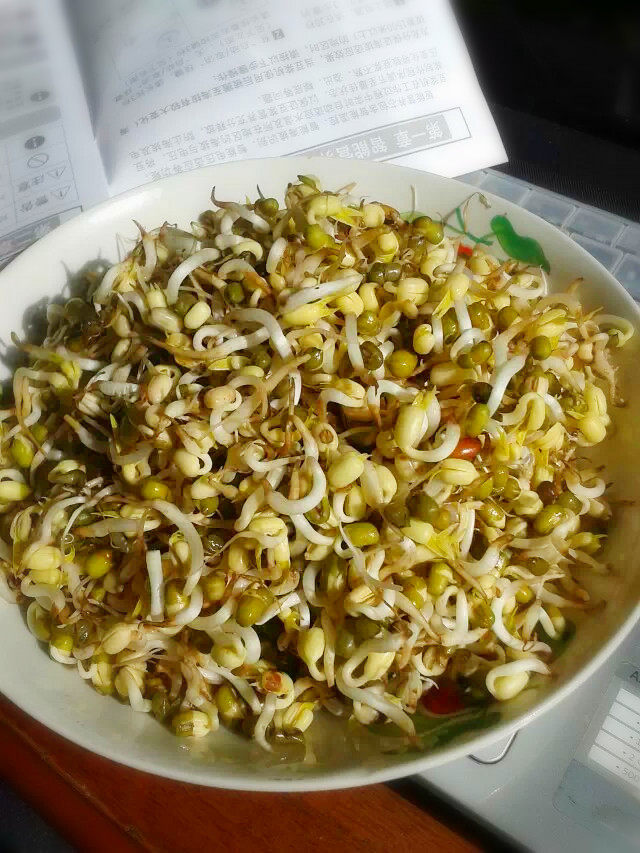 自发绿豆芽步骤7
