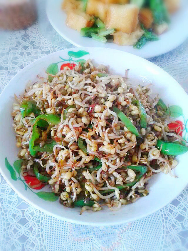 自发绿豆芽步骤8
