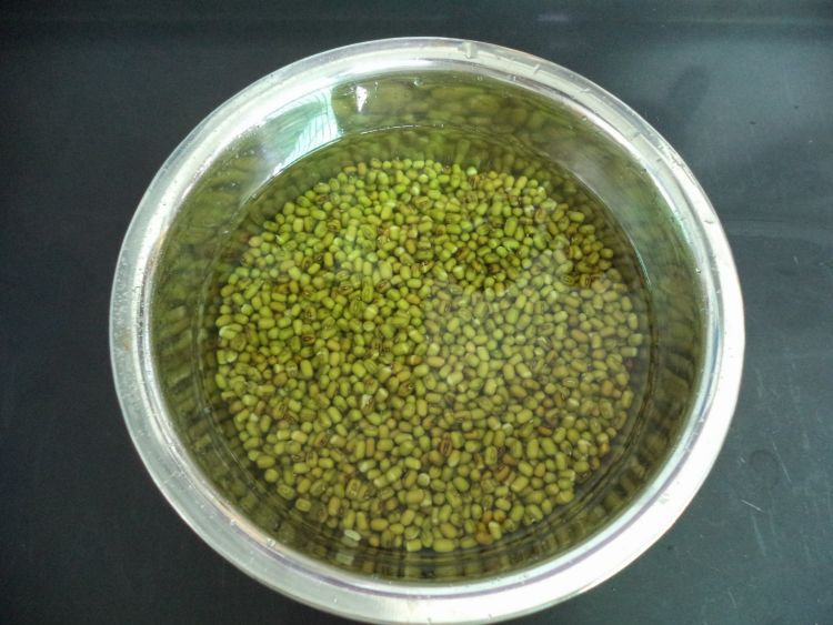 冰糖绿豆饮步骤1