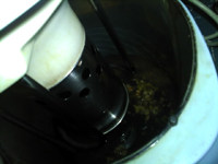 薏米三豆浆步骤7