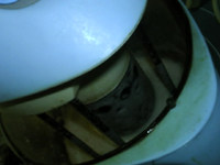 薏米三豆浆步骤9