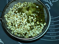 百合薏米绿豆浆步骤2