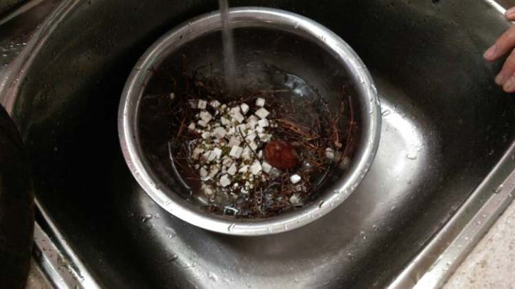 鸡骨草茯苓猪横利养肝步骤2