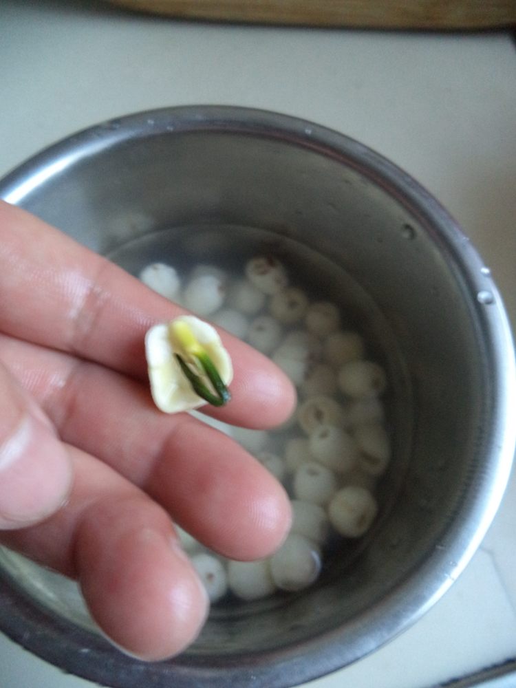 绿豆薏仁莲子粥步骤2