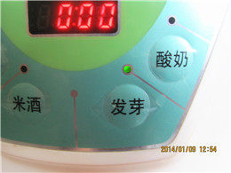 自生绿豆芽步骤8
