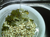 薏米绿豆百合粥步骤2