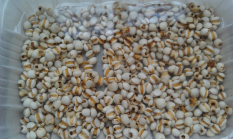 绿豆薏米糖水步骤5