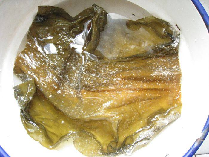 绿豆海带水步骤2
