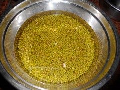 海带绿豆冰棍步骤1