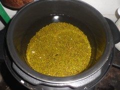 海带绿豆冰棍步骤4