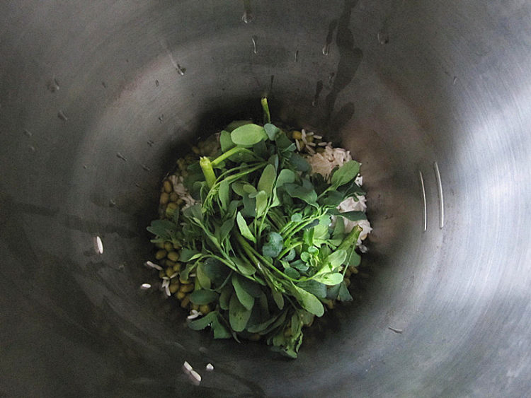 绿豆臭草米糊步骤7