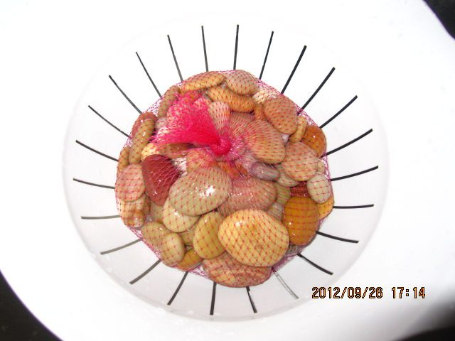 家庭生绿豆芽步骤4