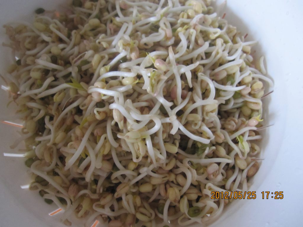 家庭生绿豆芽步骤9