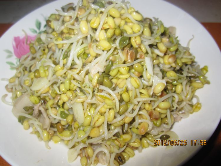 家庭生绿豆芽步骤10