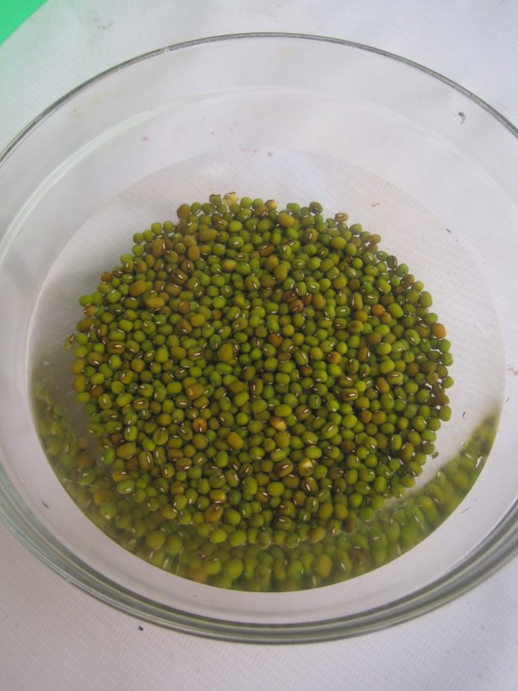 紫薯绿豆汤步骤1