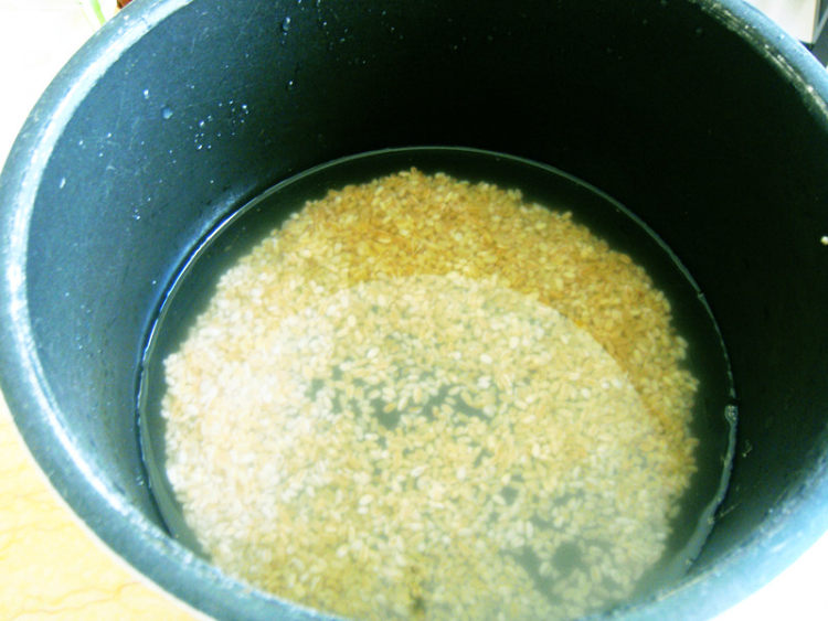 米仁绿豆粥步骤2