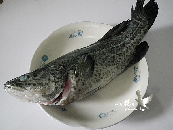 澳斑鱼头炖豆腐步骤1