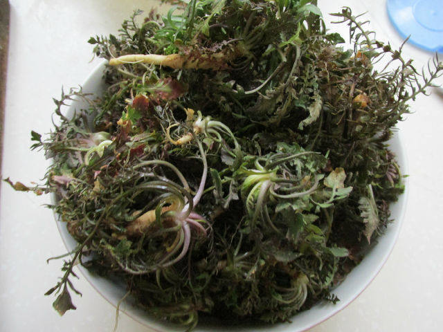 翡翠荠菜饺子步骤1